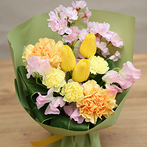 �Ђ��܂�̐F�ƍ��̍ʂ肪���邢�C�����ɂ����Ă���܂��B