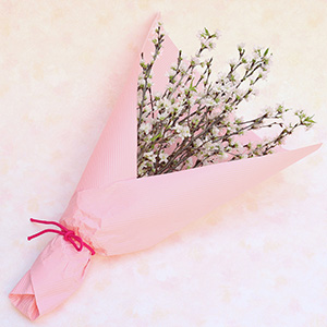 ���b�s���O�̃C���[�W�ł��B