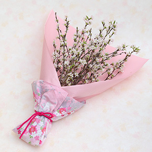 �ԕr�ɏ������C���[�W�ł��B