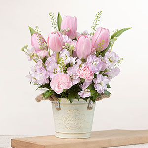 �ʂ̊p�x���猩���C���[�W�ł��B