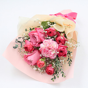 �ꏏ�ɂ��͂�����ԑ��ł��B�l�C�̃s���N�̃O���f�[�V�����ł܂Ƃ߂܂����B