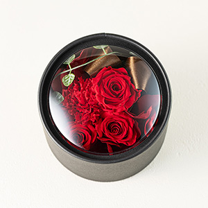 �ꏏ�ɂ��͂�����v���U�[�u�h�t�����[�ł��B�N���X�}�X�炵���^���ԂȉԁX�̃h�[���A�����W�ł��B