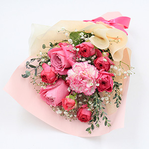 �ꏏ�ɂ��͂�����ԑ��ł��B�l�C�̃s���N�̃O���f�[�V�����ł܂Ƃ߂܂����B