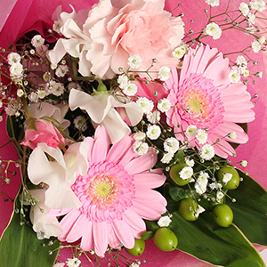 �K�[�x���͂��̑N�₩�Ȍ����ڂ���u��]�v�u��ɑO�i�v�u�O�����v�Ƃ������Ԍ��t�������܂��B�|�W�e�B�u�ȃ��b�Z�[�W������A�t�̖�o�ɂ҂�����̂��Ԃł��B