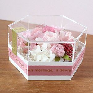 �Q�������l�q�ł��B�Ԋ�����{���ł���݁A�W�ƃP�[�X���M�t�g�V�[���ŗ��߂܂����B