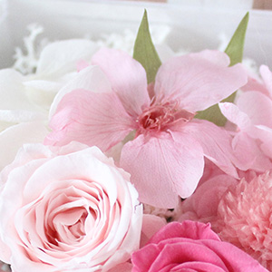 �G�ߊ�������ȍ��B���Ԃ����̂܂܃v���U�[�u�h���H�����@�ׂȕ\������y���݂��������B