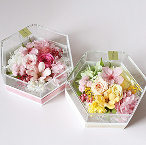 �s���N�ƃC�G���[�A�ǂ���𑡂�܂����H