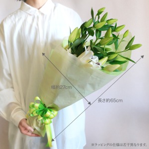 �傫���C���[�W�ł��B