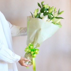 ��l�̏������������C���[�W�ł��B