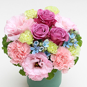 �S�ʂɂ����Ղ�̉Ԃ������Ă��܂��B