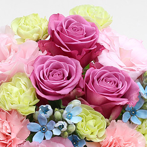 �s���N�̃o�������C���ɁA�g���R�L�L���E��J�[�l�[�V���������킹�A�ӂ���Ƃ����؂₩�������o���܂����B