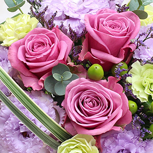 �o�������C���ɁA�{�̃g���R�L�L���E���ӂ񂾂�ɂ���������A�؂₩�ŏ�i�ȃA�����W�����g�ł��B