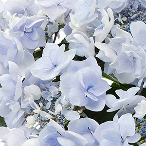 ���d�炫�Ȃ̂�1��1�ւ����؂ŃC���p�N�g������܂��B