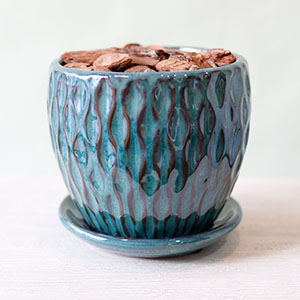 �Ԃ��������Ă�u���[�̔��ɐA������ł��͂����܂��B