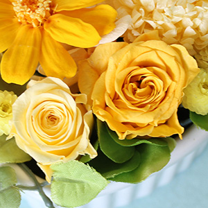 �C�G���[�Z�W�̃~�j�o�������炵���炢�Ă��܂��B