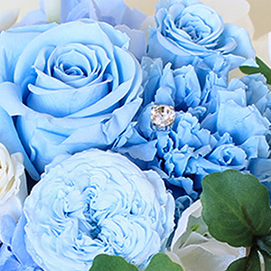 �o���ƃJ�[�l�[�V�����̋߂��ɁA���̗��i�_�C���s�b�N�j���L�����ƋP���Ă��܂��B