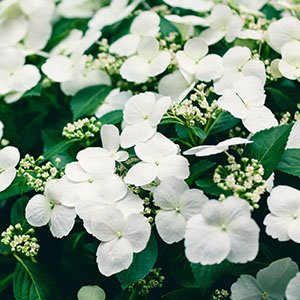 �炫�i�ނɂ�āA�K�N���傫���Ȃ�A���ɕω����܂��B