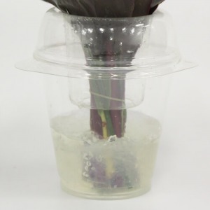 水がこぼれにくい仕様のカップに保水剤（ゼリー）が入っているので、ラッピングを外さずそのまま飾れます。