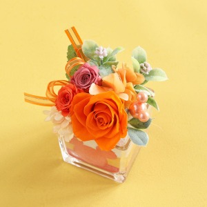 ���Ă��邾���Ō��C�ɂȂ��T���V���C���J���[�̃o����~�j�o���i�܂��̓A�W�T�C�j��g�ݍ��킹�Ă��܂��B