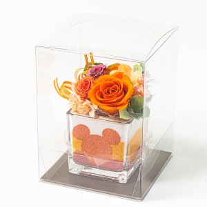 ���̂܂܏����N���A�P�[�X�ɓ���Ă��͂����܂��B