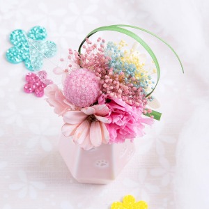 �ォ�猩���l�q�ł��B�J�[�l�[�V�����ƃr���[�{�^���i���̂̂��ԁj�̉��ɁA���̋��Ɍ����Ă��J�X�~�\�E���炢�Ă��܂��B