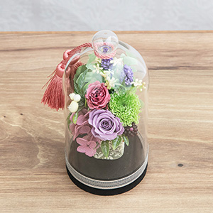 �ォ�猩���l�q�ł��B�h�[���̒��Ƀo�����X�ǂ����Ԃ��炢�Ă��܂��B