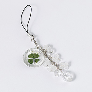 4���̒a���΁u�����v�Ǝl�t�̃`���[���t���X�g���b�v���L�O�Ɏc�鑡�蕨�ł��B