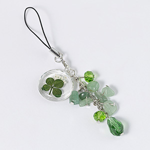 5���̒a���΁u�Ő��v�Ǝl�t�̃`���[���t���X�g���b�v���L�O�Ɏc�鑡�蕨�ł��B