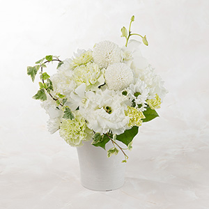 �ʂ̊p�x���猩���C���[�W�ł��B