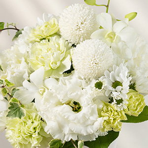 ���̃g���R�L�L���E�A�f���t�@���A�O���[���̃J�[�l�[�V���������킹�����^�ȃA�����W�����g�ł��B