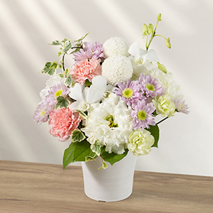 �����f�U�C���Ŕ��ƒW���s���N�ł܂Ƃ߂��₳�����F�����̃A�����W�����g�����p�ӂ��Ă���܂��B