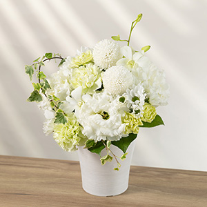 �����f�U�C���Ŕ��ƃO���[���ł܂Ƃ߂����R�ȐF�����̃A�����W�����g�����p�ӂ��Ă���܂��B