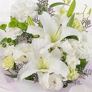 �����̕S���ɐ��^�ȉԁX�����킹���A�����W�����g�ł��B