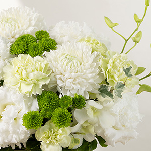 ���݊��̂���f�B�X�o�b�h�}���ɐ��^�ȉԁX�����킹���A�����W�����g�ł��B