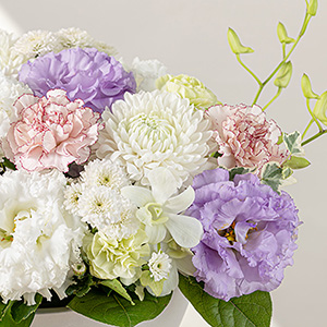 ���݊��̂���f�B�X�o�b�h�}���ɂ₳�����F�����̉ԁX�����킹���A�����W�����g�ł��B