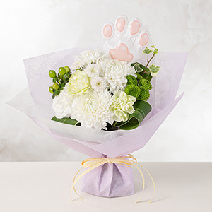 �u�o���[���t���v�����I���̏ꍇ�A�A�j�}�����`�[�t�̓����o���[�����u�[�P�ɂ₳�����Y���Ă��͂����܂��B