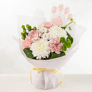 �u�o���[���t���v�����I���̏ꍇ�A�A�j�}�����`�[�t�̓����o���[�����u�[�P�ɂ₳�����Y���Ă��͂����܂��B