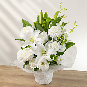 �ʂ̊p�x���猩���C���[�W�ł��B