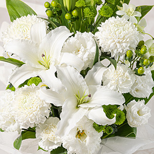 ��i�ȃf�B�X�o�b�h�}���̓{�����[���������Ղ�ł��B