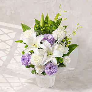 �����f�U�C���Ŕ��ƃ��x���_�[�ł܂Ƃ߂��₳�����F�����̃A�����W�����g�����p�ӂ��Ă���܂��B