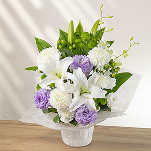 �ʂ̊p�x���猩���C���[�W�ł��B