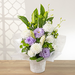 �����̕S���ɃG���K���g�Ȉ�ۂ̃g���R�L�L���E�����킹���A�����W�����g�ł��B