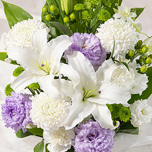 ��i�ȃf�B�X�o�b�h�}���̓{�����[���������Ղ�ł��B