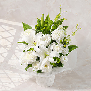 �����f�U�C���Ŕ��ƃO���[���ł܂Ƃ߂����R�ȐF�����̃A�����W�����g�����p�ӂ��Ă���܂��B