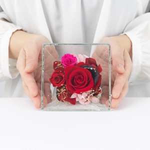 ��l�̏������������傫���C���[�W�ł��B