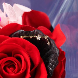 ����͂����ԕق̏�ŁA���r���̃`���[�����Â��ɏu���܂��B