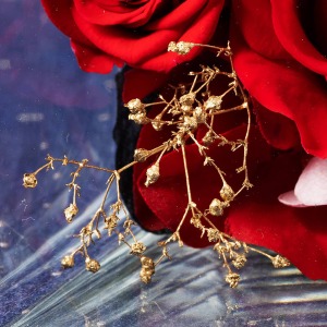 �o���̌��Ԃ���A�����̂悤�ȃS�[���h�̃J�X�~�\�E������̂������Ă��܂��B