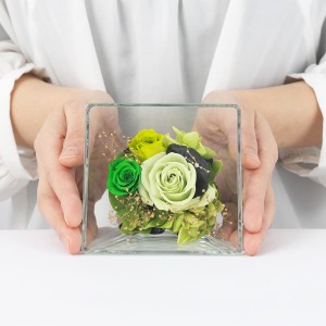 ��l�̏������������傫���C���[�W�ł��B