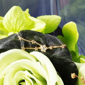 ����͂����ԕق̏�ŁA�������̃`���[�����Â��ɏu���܂��B