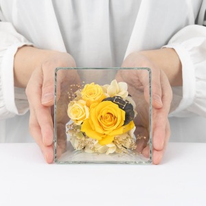 ��l�̏������������傫���C���[�W�ł��B